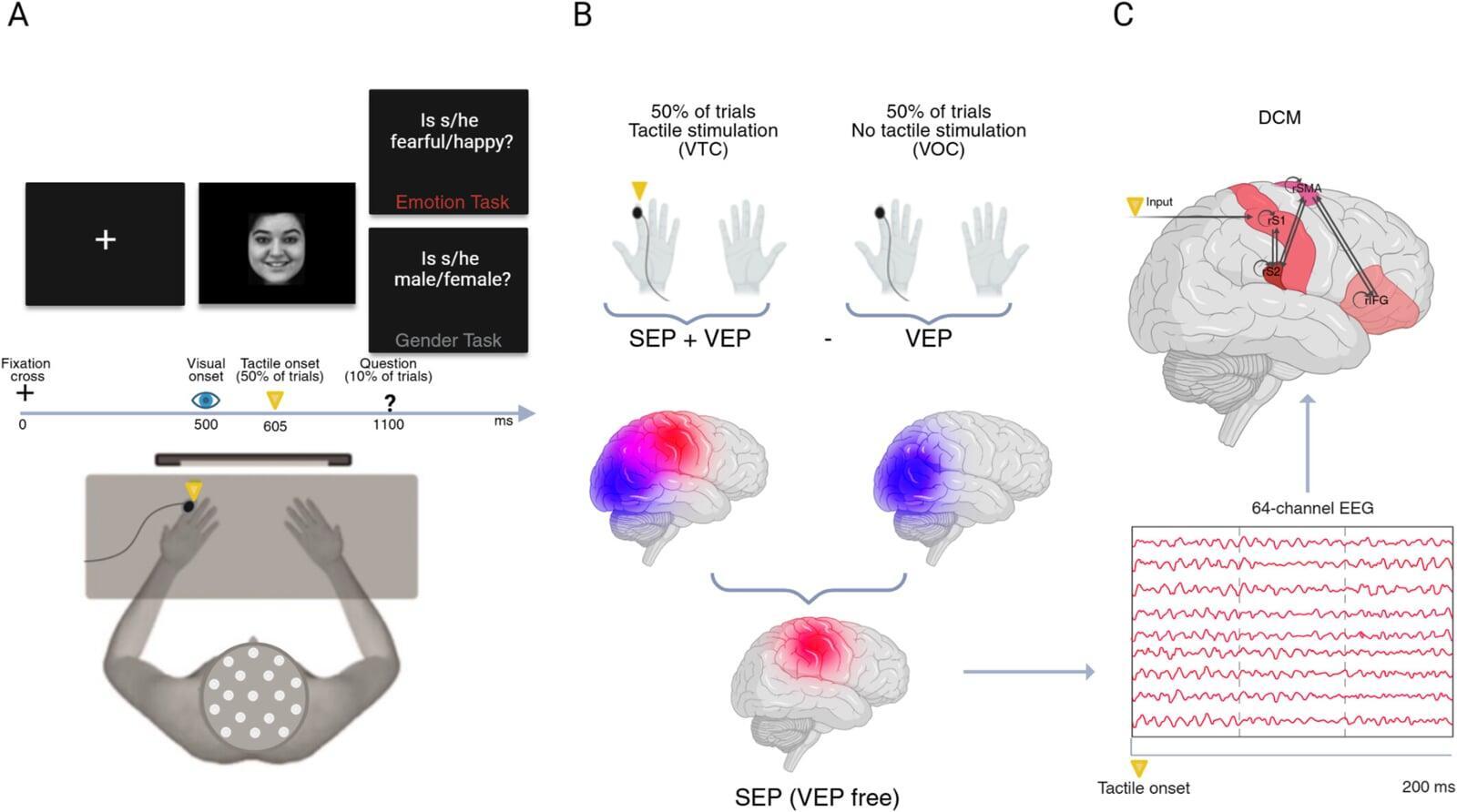 New Paper on Emotion Perception in Autism