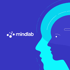 Mindlab Academy interview